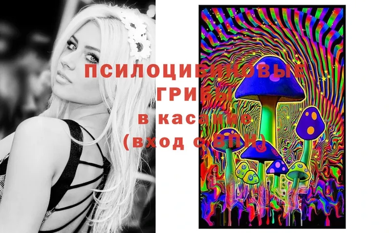 купить закладку  Болохово  Галлюциногенные грибы Psilocybine cubensis 